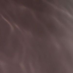 Meet your Posher, Bella